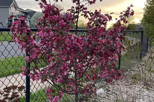 7609 Lasalle Ave NE, Otsego, MN 55301 - Photo 55