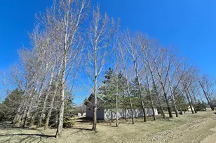 45586 Sunnybrook Trail, Vergas, MN 56587 - Photo 33