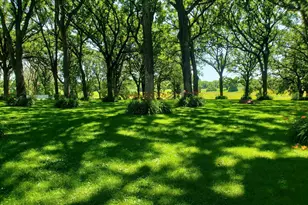 4137 Sylvan Ct SE, Rochester, MN 55904 - Photo 41