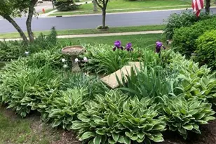 4404 57th St NW, Rochester, MN 55901 - Photo 3