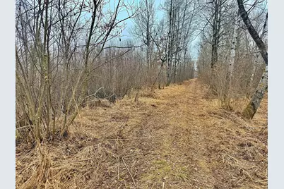 Tbd 370th Lane, McGregor, MN 55760 - Photo 15