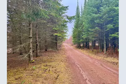 Tbd 370th Lane, McGregor, MN 55760 - Photo 9