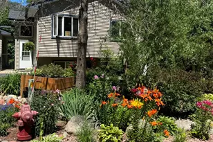 12011 Dogwood St, Zimmerman, MN 55398 - Photo 39