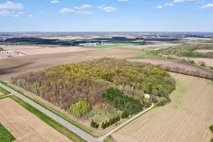 15312 Bison Rd, Swanville, MN 56382 - Photo 79