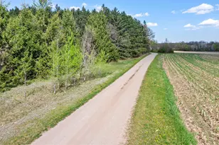 15312 Bison Rd, Swanville, MN 56382 - Photo 3