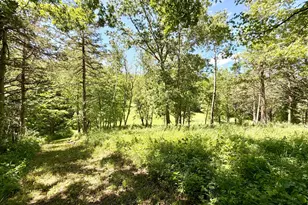 28895 Belle Creek Way, Welch Township, MN 55089 - Photo 99