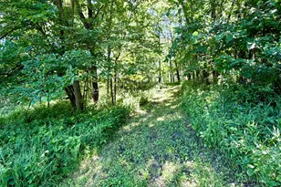 28895 Belle Creek Way, Welch Township, MN 55089 - Photo 97