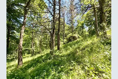 28895 Belle Creek Way, Welch Township, MN 55089 - Photo 99