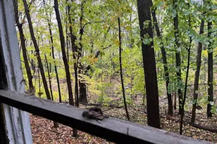 10035 Pokegama Lake Road Dr, Pine City, MN 55063 - Photo 27