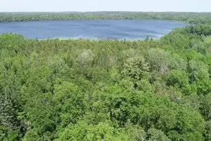 Tbd Rush Island Lake Rd, Deer River, MN 56636 - Photo 1