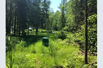Tbd Rush Island Lake Road, Deer River, MN 56636 - Photo 21