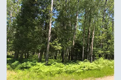 Tbd Rush Island Lake Road, Deer River, MN 56636 - Photo 9