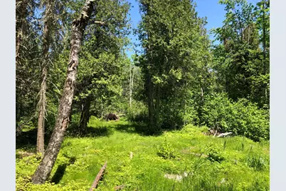 Tbd Rush Island Lake Road, Deer River, MN 56636 - Photo 19