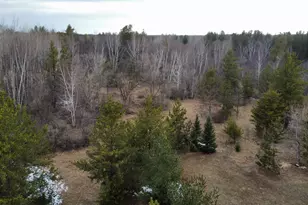 3818 131st St SW, Pillager, MN 56473 - Photo 35