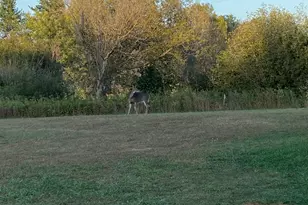 3818 131st St SW, Pillager, MN 56473 - Photo 39