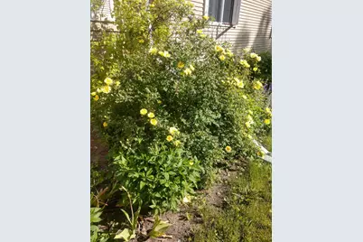 701 Douglas Avenue, Henning, MN 56551 - Photo 37