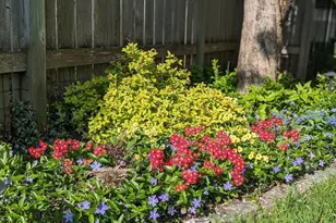 298 Washburn Ave N, Minneapolis, MN 55405 - Photo 33