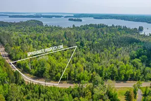 Tbd Parcel A Vermilion Dr, Cook, MN 55723 - Photo 1