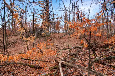 Tbd Lots 200 & 201 Lynx Drive, Breezy Point, MN 56472 - Photo 7