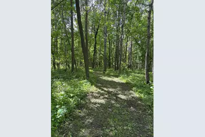 51692 385th Street, New York Mills, MN 56567 - Photo 71