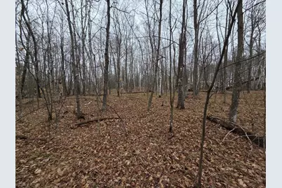 Tbd Xxx, Longville, MN 56655 - Photo 7