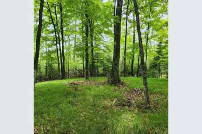 3157 4th Avenue NW, Longville, MN 56655 - Photo 7