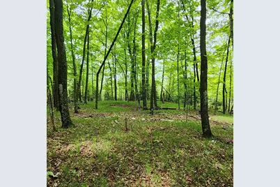 3157 4th Avenue NW, Longville, MN 56655 - Photo 5