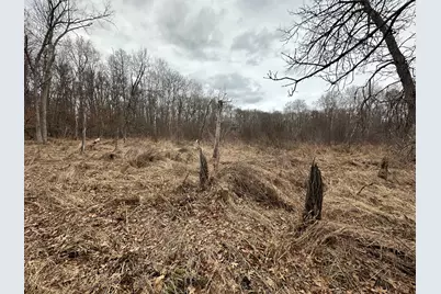 Lot 25 County Rd 11, Breezy Point, MN 56472 - Photo 5