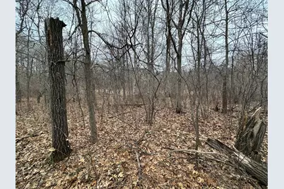 Lot 25 County Rd 11, Breezy Point, MN 56472 - Photo 3