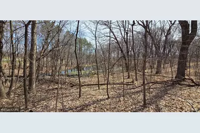 N/A State Highway 55, Rockford, MN 55373 - Photo 9