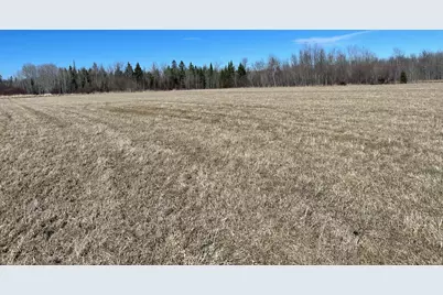 Hwy 133 Hwy # 133, Meadowlands, MN 55765 - Photo 3