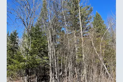 Hwy 133 Hwy # 133, Meadowlands, MN 55765 - Photo 5