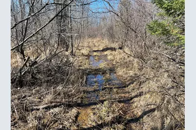 Hwy 133 Hwy # 133, Meadowlands, MN 55765 - Photo 3