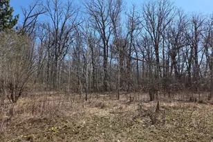 51948 River Rd, Rush City, MN 55069 - Photo 11