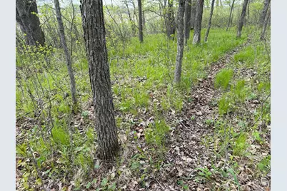 Tbd 320th Street, Browerville, MN 56438 - Photo 27
