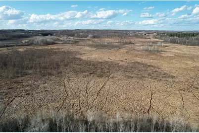 Tbd 320th Street, Browerville, MN 56438 - Photo 1
