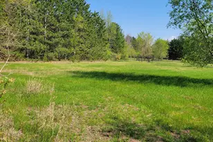 8788 288th Ln NE, North Branch, MN 55056 - Photo 53