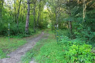 8788 288th Ln NE, North Branch, MN 55056 - Photo 51