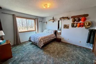 4703 210th St, Lake Bronson, MN 56734 - Photo 15