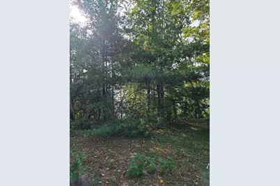 Tbd Andrusia Road SE #Lot 7, Block 1, Cass Lake, MN 56633 - Photo 15
