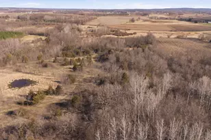Tbd 193rd Ave, Richmond, MN 56368 - Photo 11