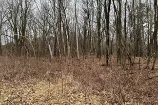 39178 Timber Trail Rd, Onamia, MN 56359 - Photo 9