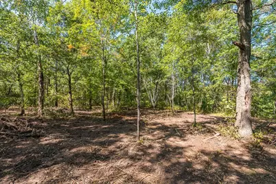 Tract C Tbd Little Pine Road, Brainerd, MN 56401 - Photo 7