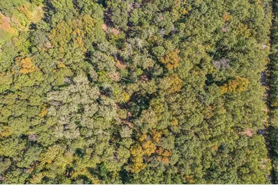 Tract C Tbd Little Pine Road, Brainerd, MN 56401 - Photo 19