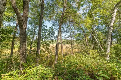 Tract C Tbd Little Pine Road, Brainerd, MN 56401 - Photo 5