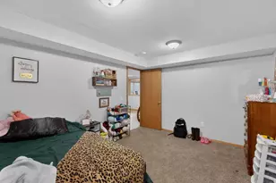100 Capelle St, Spring Valley, MN 55975 - Photo 45