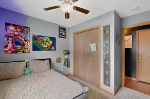 100 Capelle St, Spring Valley, MN 55975 - Photo 41