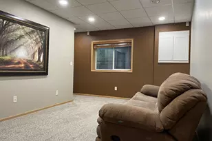 1005 Sibley St, Hastings, MN 55033 - Photo 19