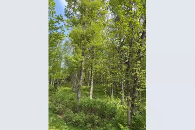 0 Sugarloaf Road, Crosslake, MN 56442 - Photo 5