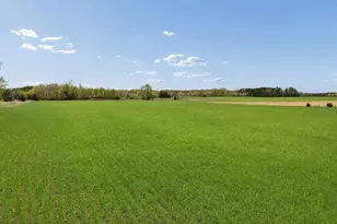 Part Nw1/4 Of Sw1/4 Acres Located in Section 23, Jordan, MN 55352 - Photo 13